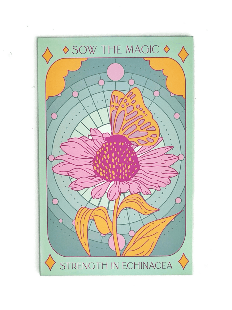 Purple Coneflower Tarot Garden Seed Packet - Shop at Persephone's Hearth