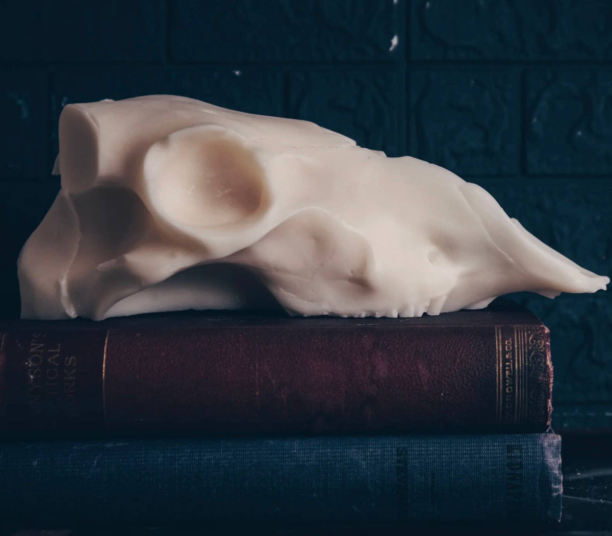 Ram Skull Pillar Candle - Shop at Persephone's Hearth