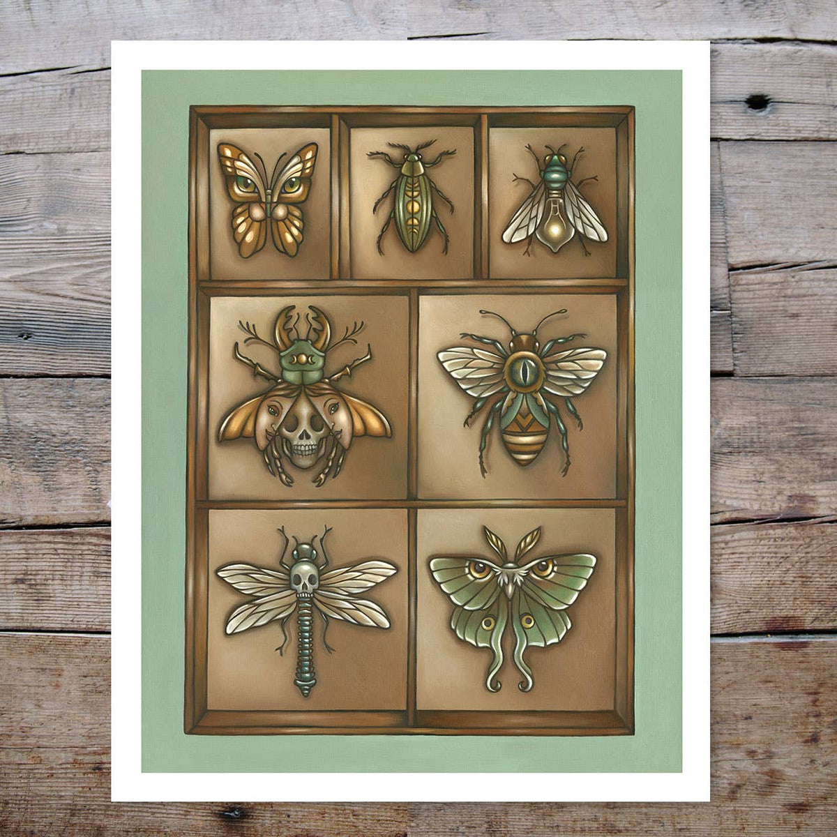 *Retiring* Insect Collection Art Print, 14" x 11" - Shop at Persephone's Hearth