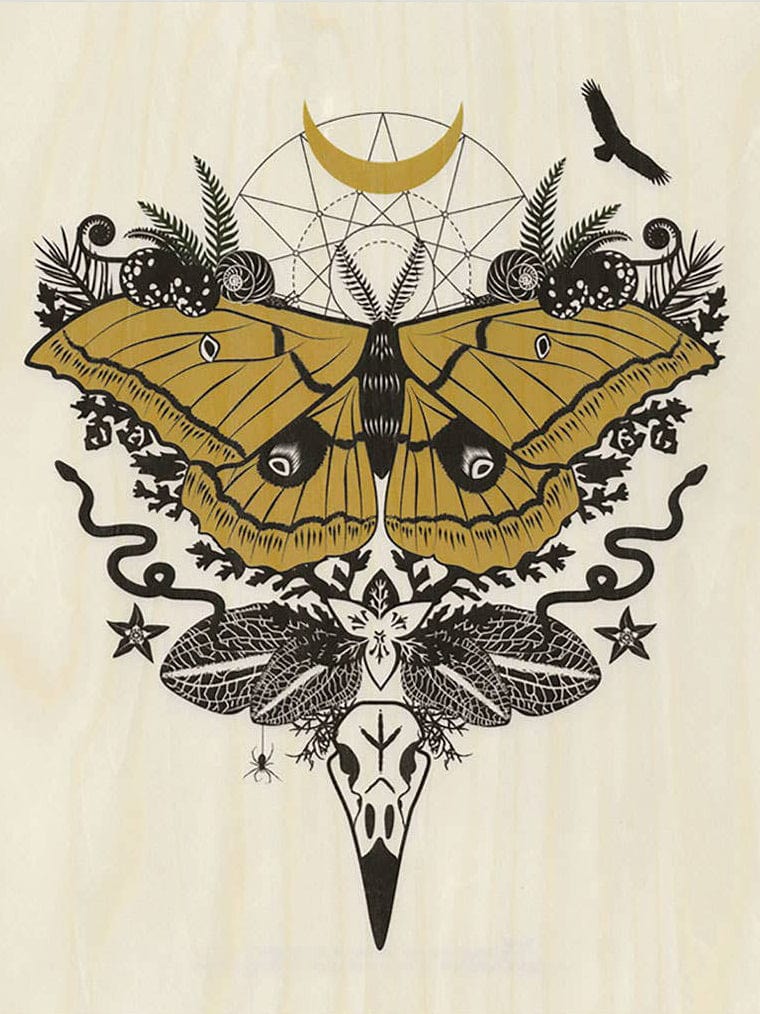 "Silk Moth" Small Wood Print, 11" x 8.5" - Shop at Persephone's Hearth