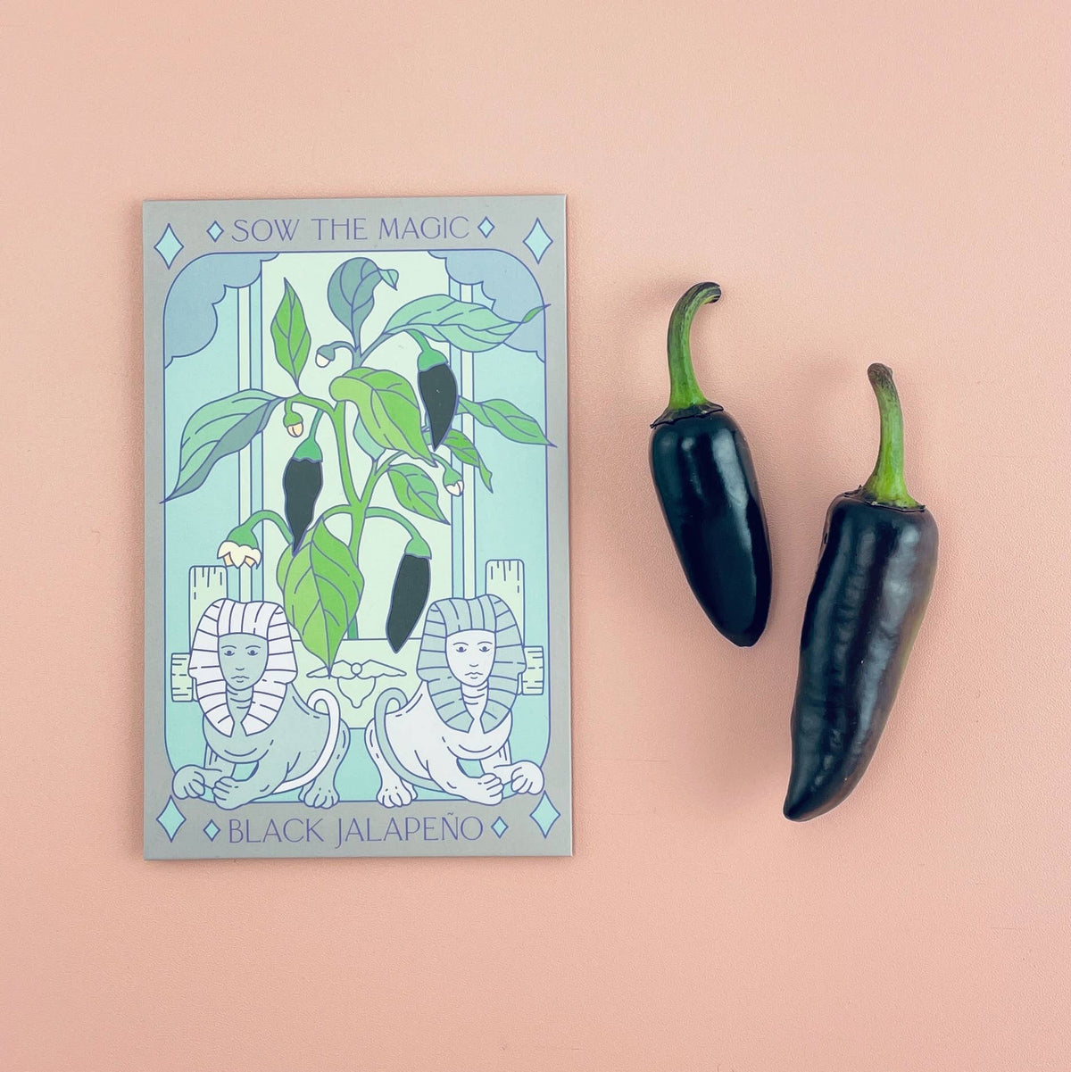 Sow the Magic Black Hungarian Jalapeño Tarot Garden + Gift Seed Packet