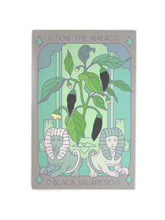 Black Hungarian Jalapeño Tarot Garden Seed Packet