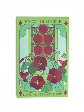 Sow the Magic Black Velvet Nasturtium Tarot Garden Seed Packet