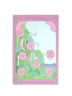 Dragon Tongue Bush Bean Tarot Garden Seed Packet