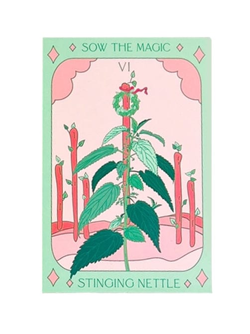 Sow the Magic Garden Seeds Stinging Nettle Tarot Garden Seed Packet