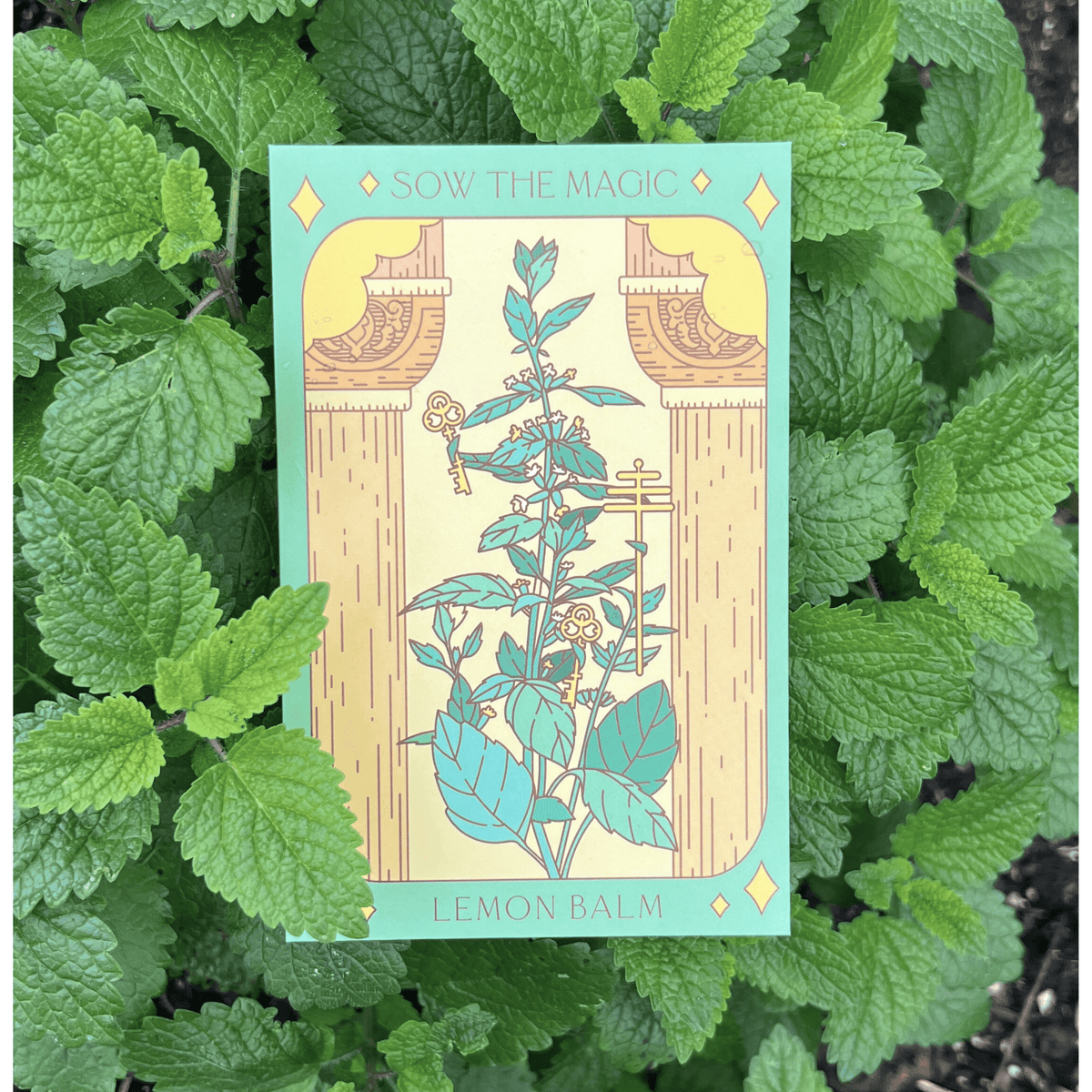 Sow the Magic Lemon Balm Tarot Garden + Gift Seed Packet