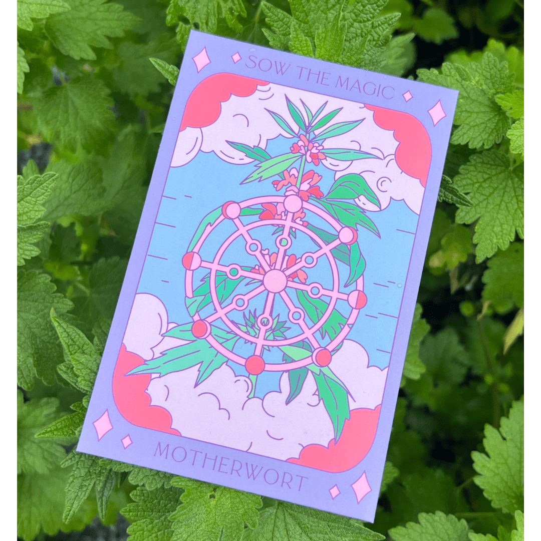 Sow the Magic Motherwort Tarot Garden + Gift Seed Packet