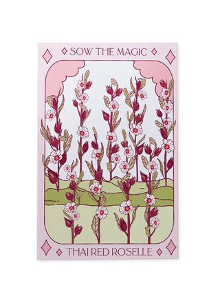 Sow the Magic Thai Red Roselle Hibiscus Tarot Garden Seed Packet