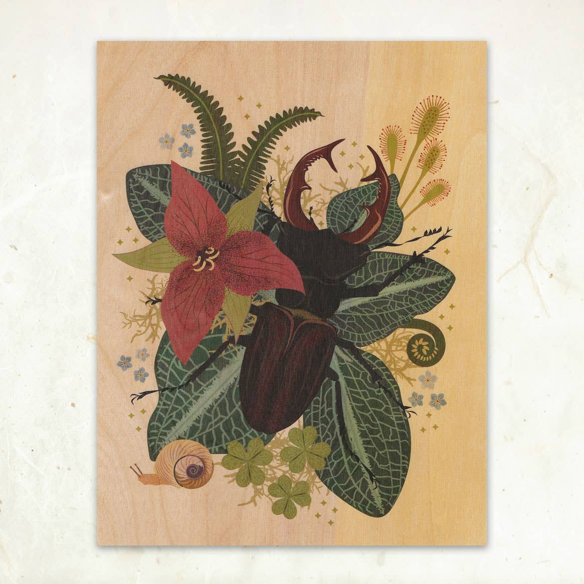Stag Beetle Small Wood Print, 11" x 8.5" - Shop at Persephone's Hearth