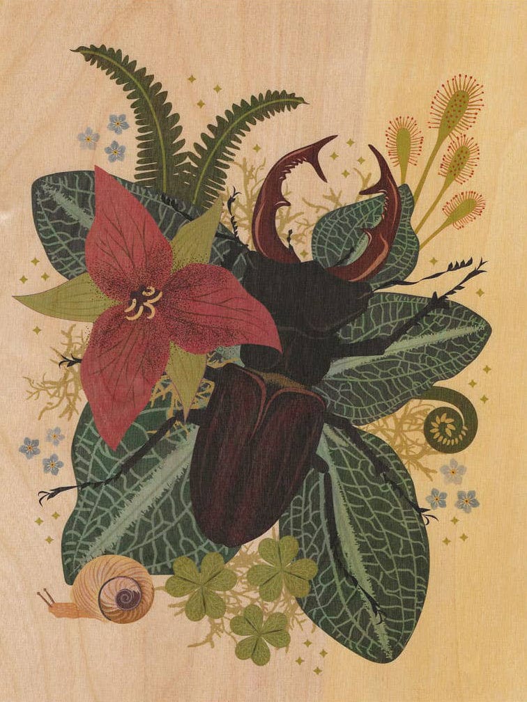 Stag Beetle Small Wood Print, 11" x 8.5" - Shop at Persephone's Hearth