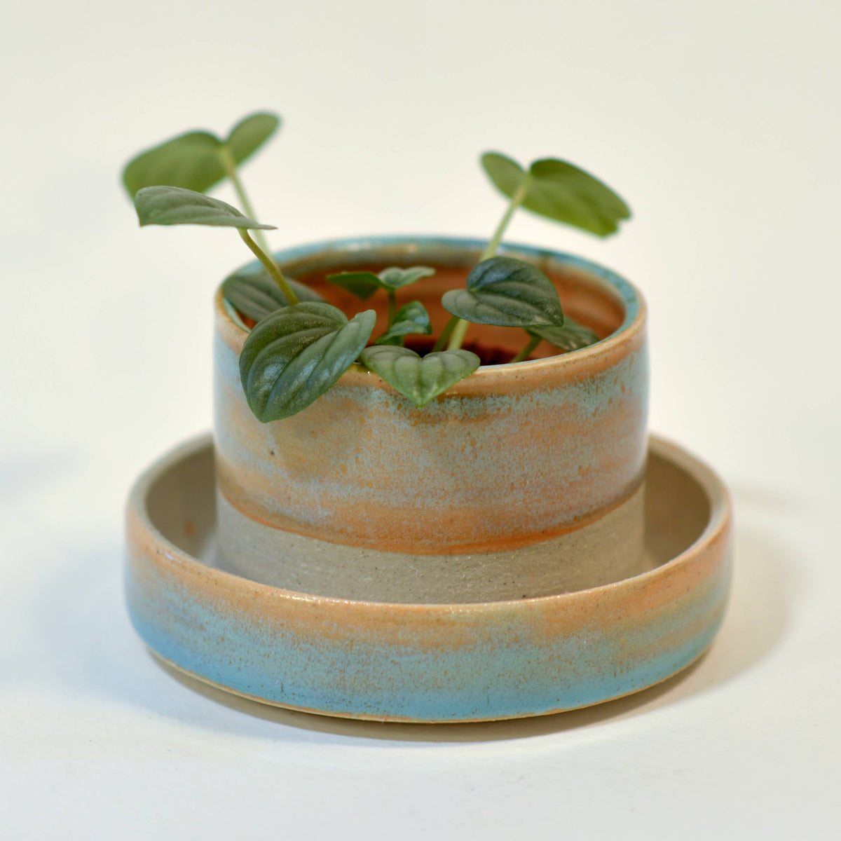 Swan City Ceramics 2.5" Small Planter, attached base drainage, Handmade Ceramic: 2.5" x 2.5" / Sunset