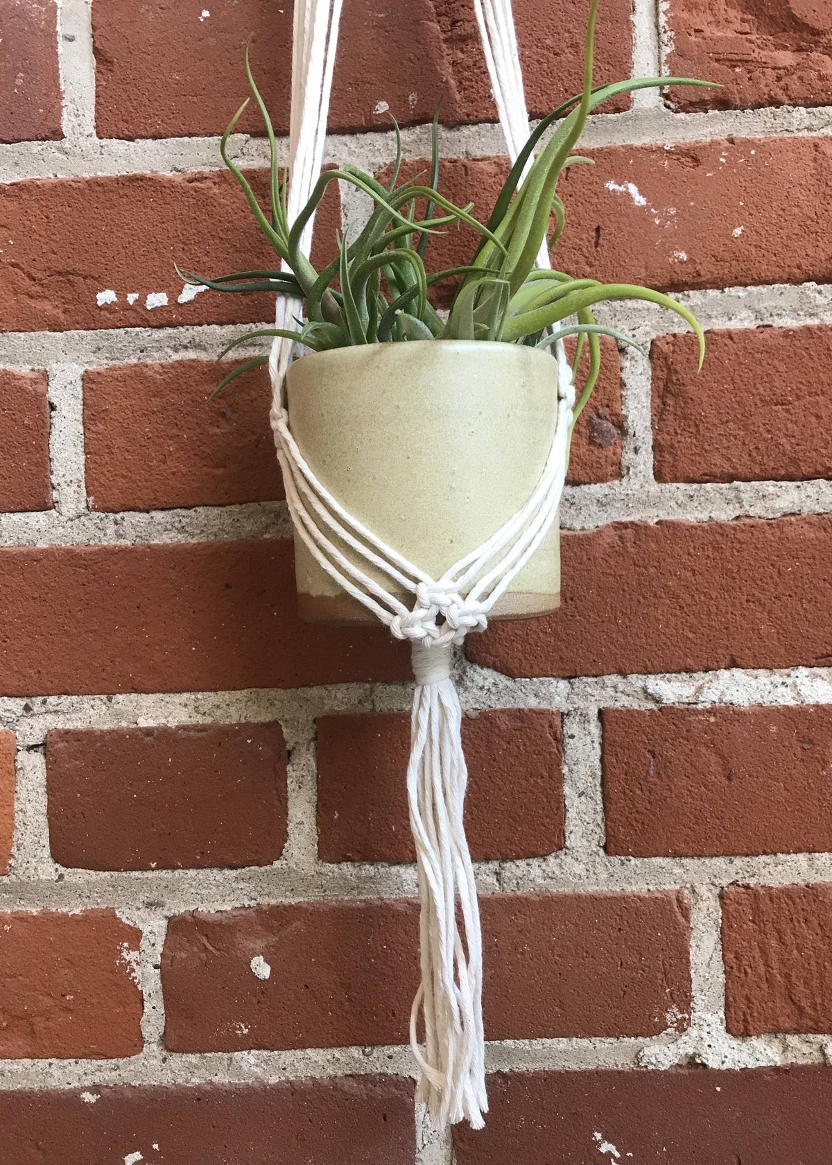 Tangled Up In Hue DIY Macrame Plant Hanger Kit - The Evelyn