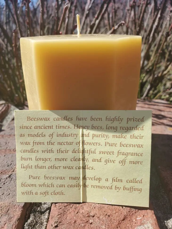 The Ramblin' Bee Candles Mini Morel Mushroom Beeswax Candle