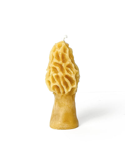 The Ramblin' Bee Candles Mini Morel Mushroom Beeswax Candle