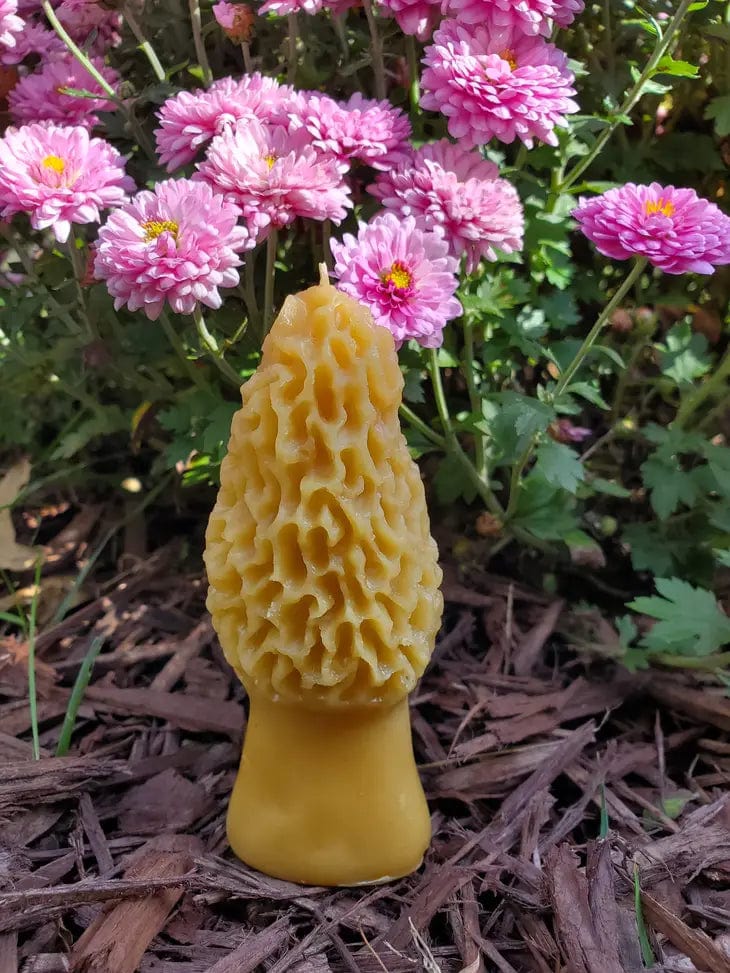 The Ramblin' Bee Candles Morel Mushroom Beeswax Candle