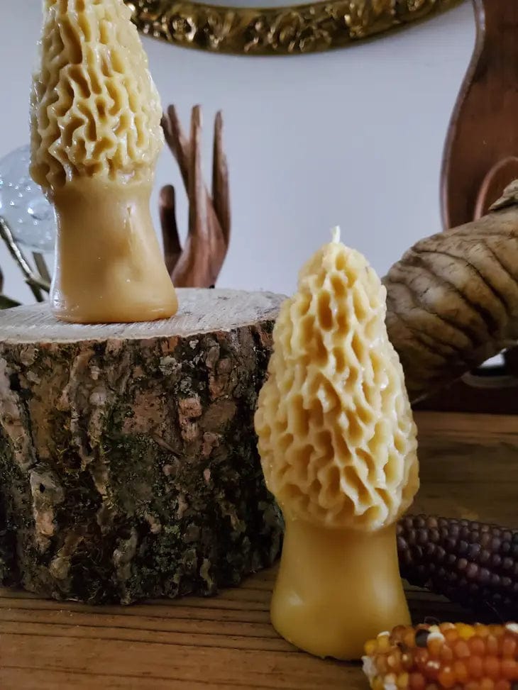 The Ramblin' Bee Candles Morel Mushroom Beeswax Candle