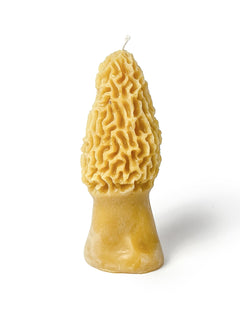 Morel Mushroom Beeswax Candle