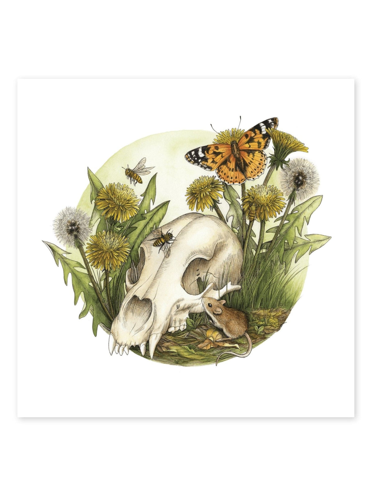 Watercolor Bear Skull with Dandelions Art Print, 11" x 11" - Shop at Persephone's Hearth