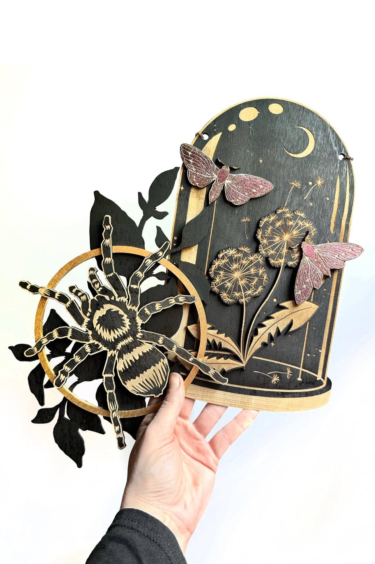 Wooden Hanging Dandelion Moth Curiosities Dome - Shop at Persephone's Hearth