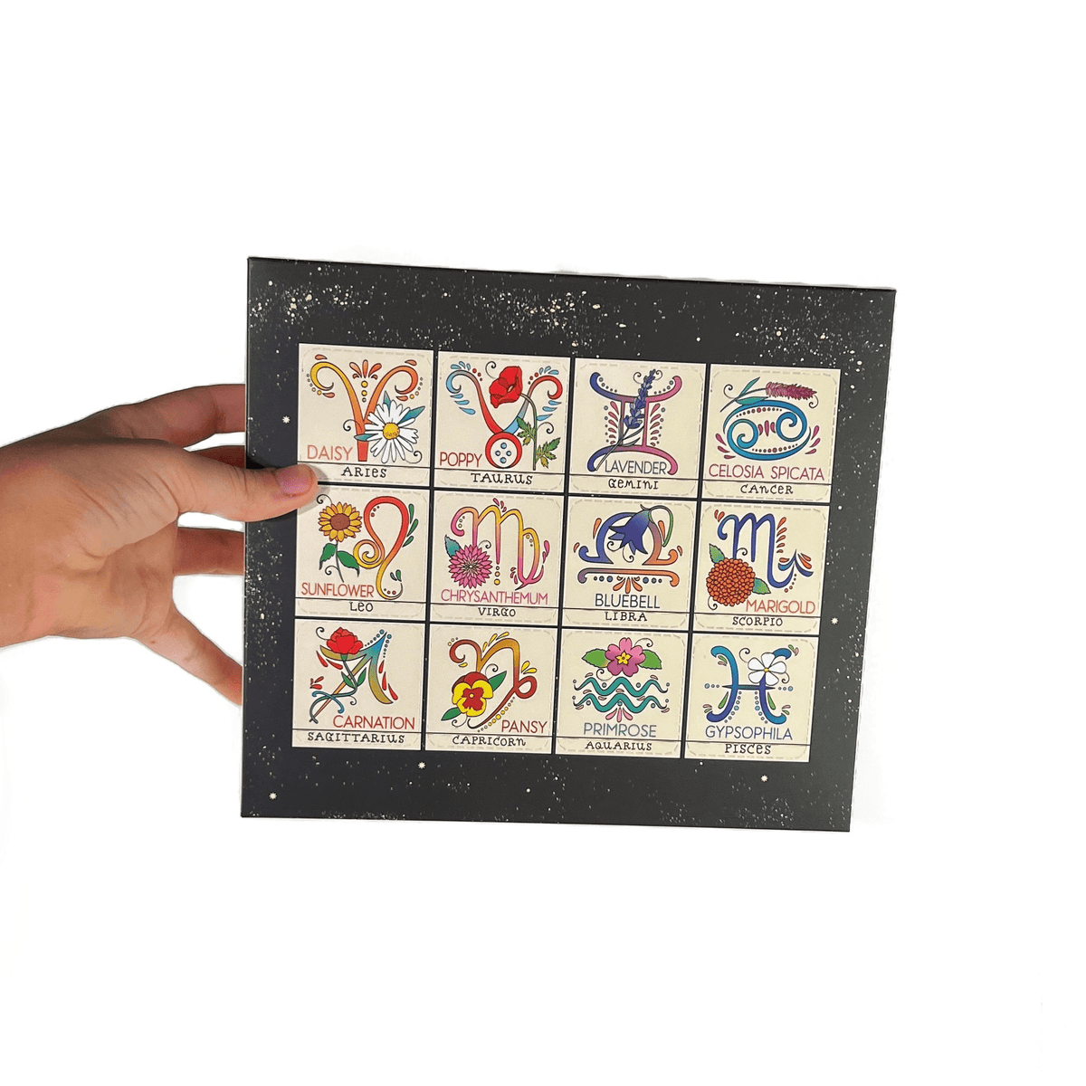 Zodiac Flower Seed Ball Flower Planting Set - Shop at Persephone's Hearth