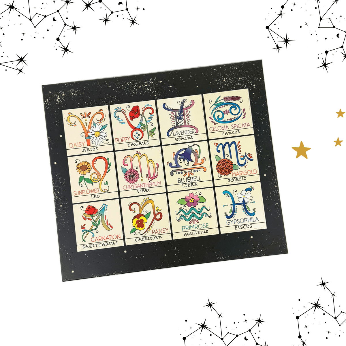 Zodiac Flower Seed Ball Flower Planting Set - Shop at Persephone's Hearth